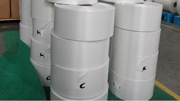 生物降解製品